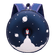 Y15847