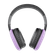 D07418.png