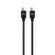 D08065.png